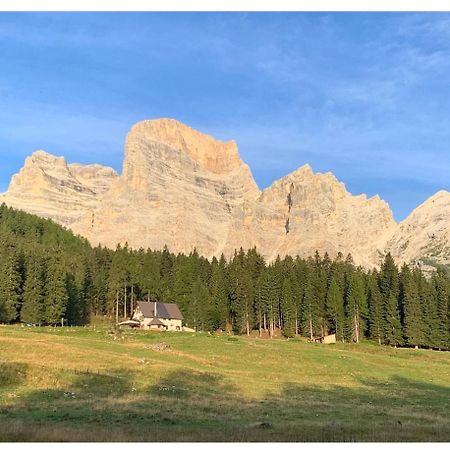 Malga Ciauta Villanova (Belluno) Exterior foto