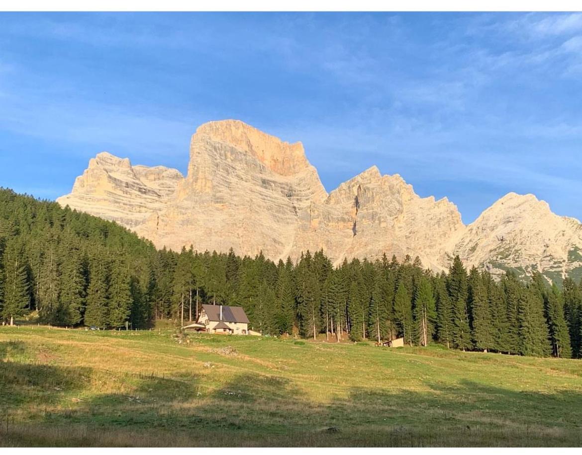 Malga Ciauta Villanova (Belluno) Exterior foto